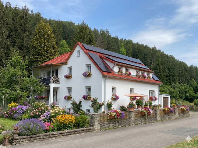 Lotusblüte Bild 1